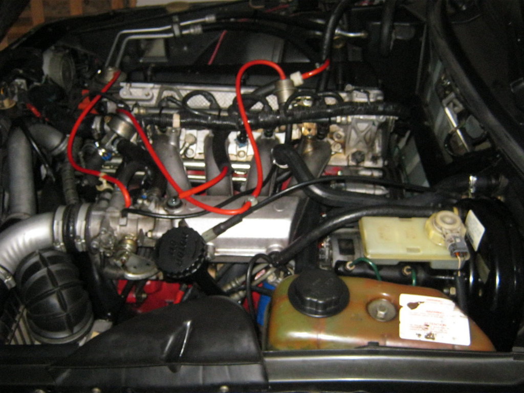 rsz_img_0795.jpg