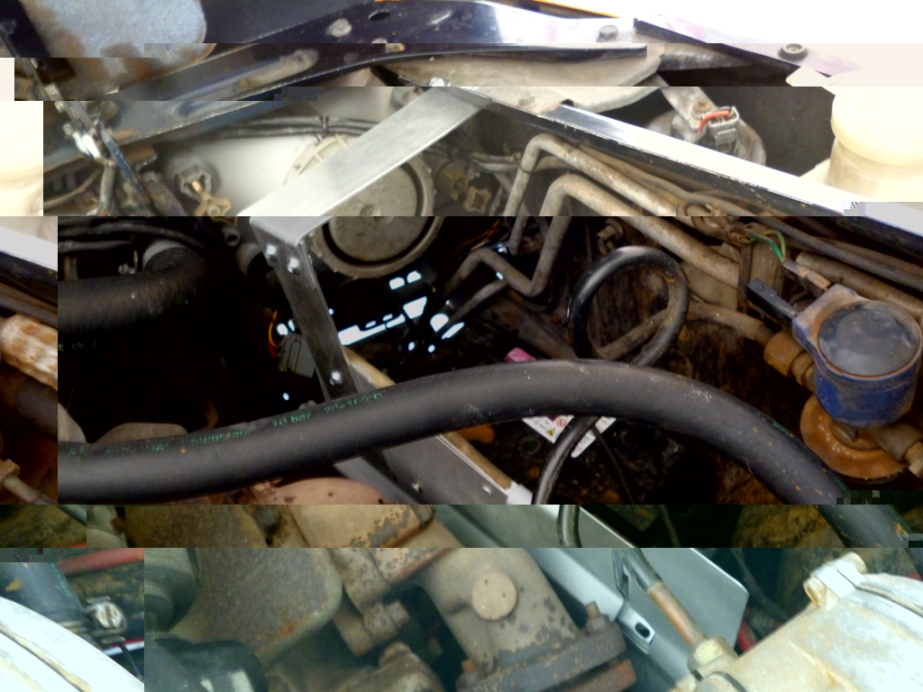 P1060045.JPG