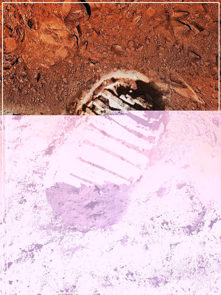 next-giant-leap-notext.jpg