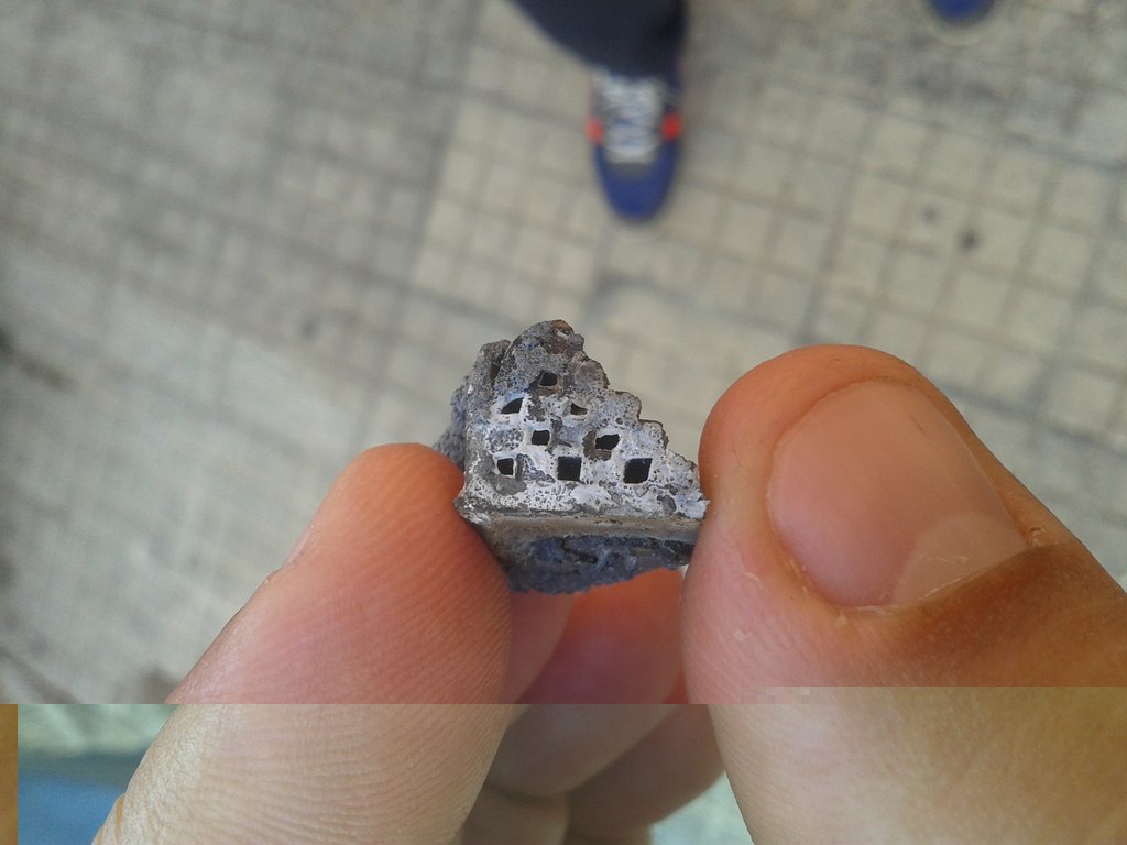 20140815_111038.jpg