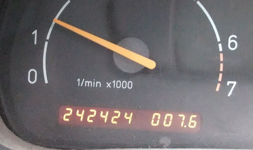 242424.JPG