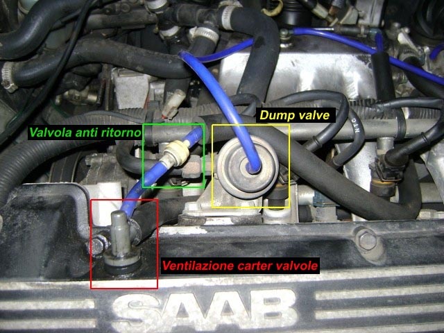 210yc.jpg