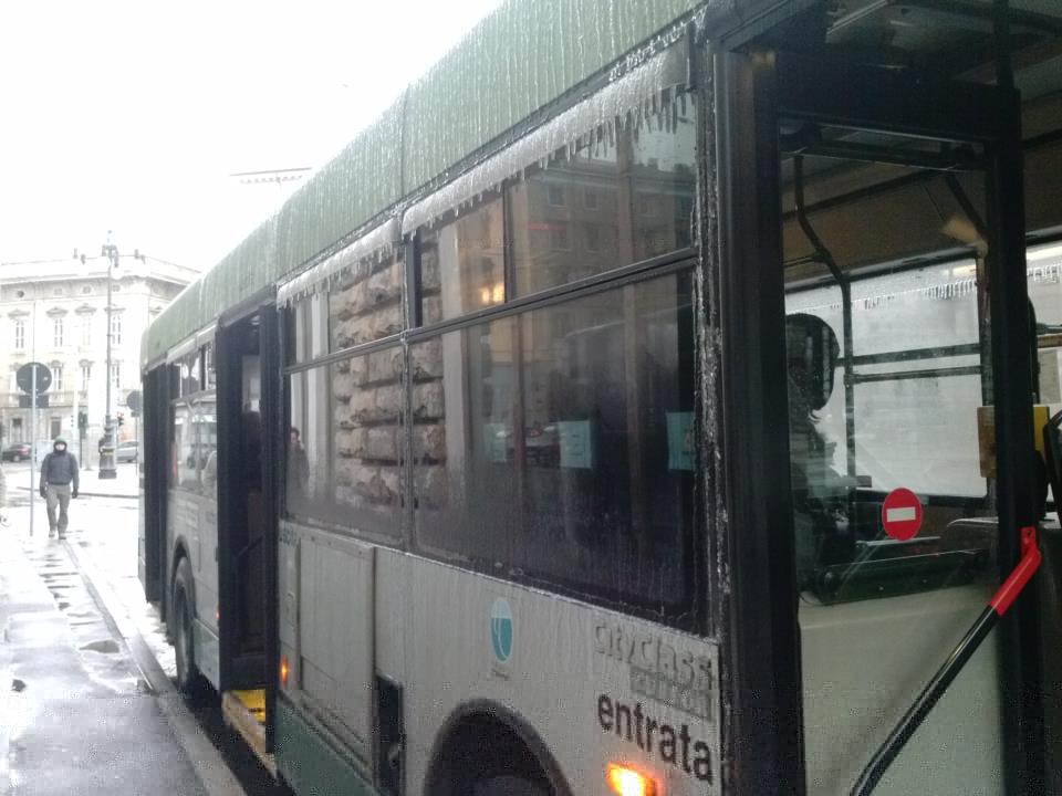 cityclass bora.jpg