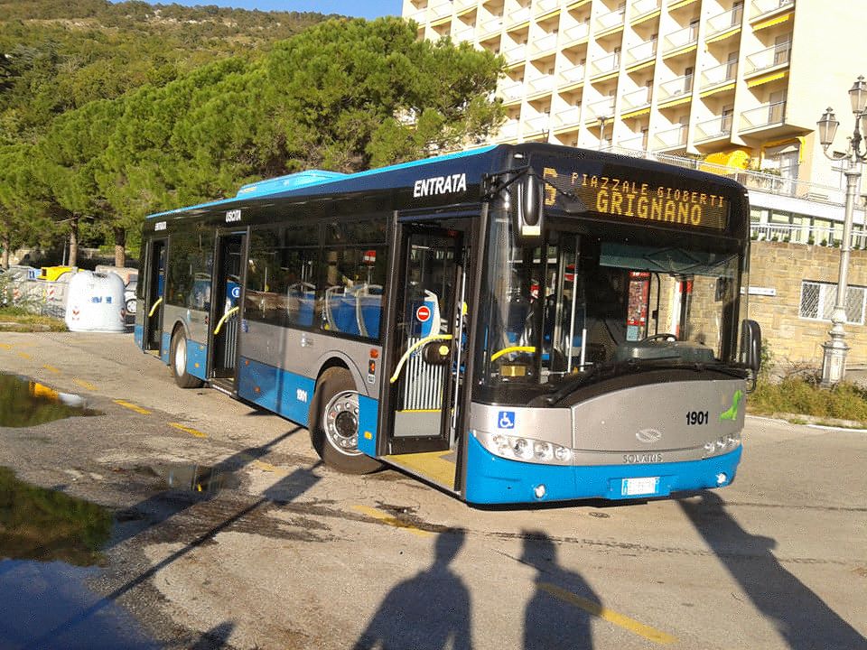 solaris urbino.jpg