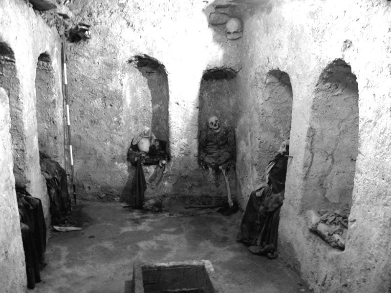 Photo-3.jpg