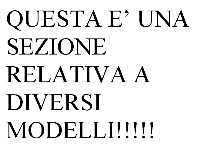 De coccio 3.JPG