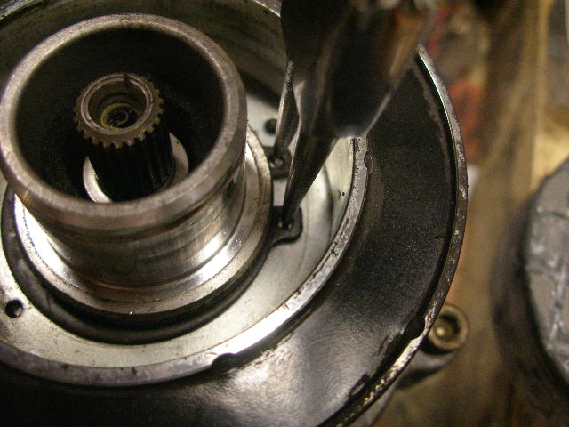 P6030056.JPG