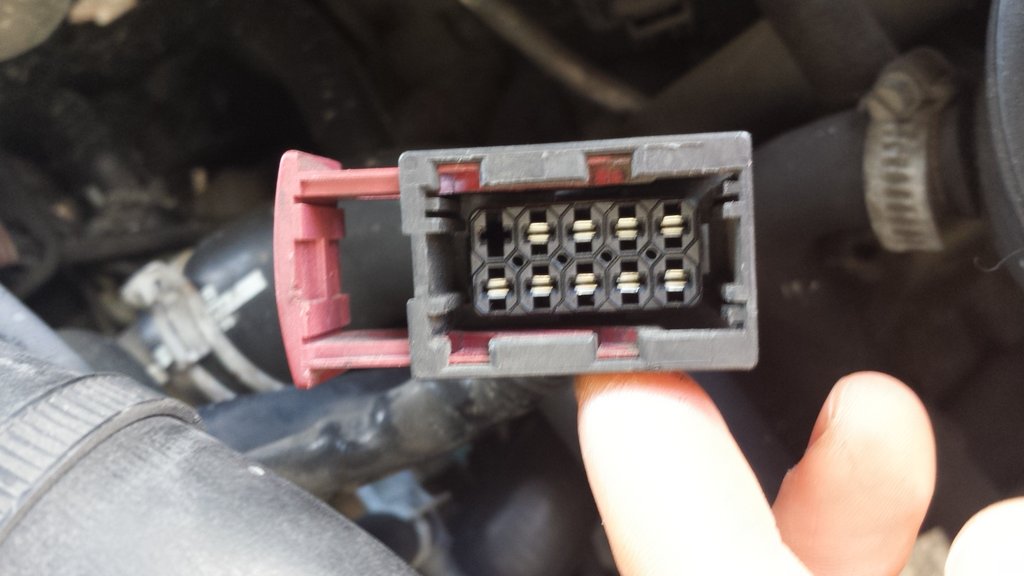 20150627_102742.jpg