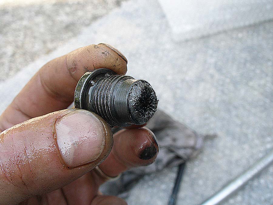 06.JPG