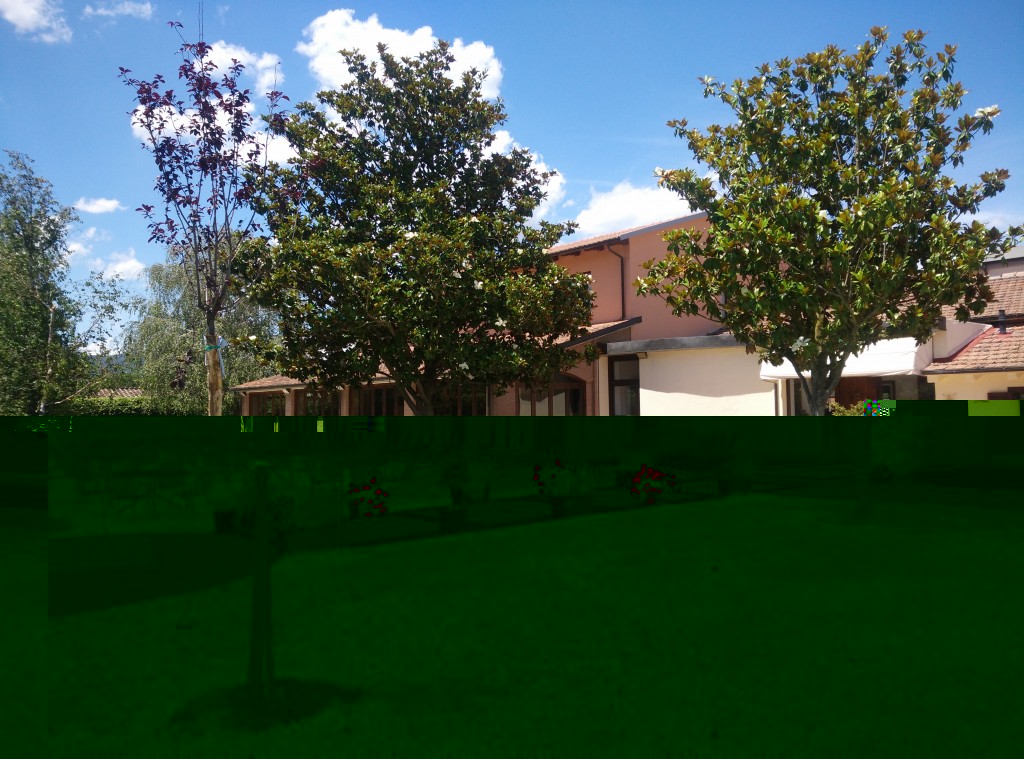 AL CANTO DEL GALLO 2.jpg
