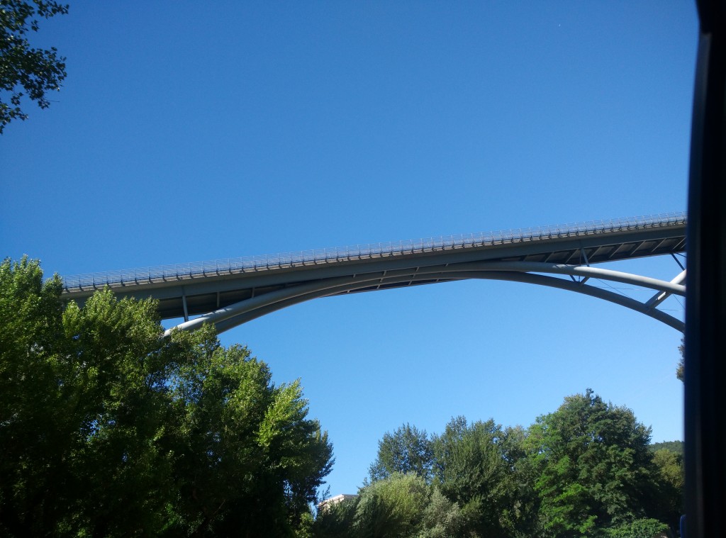 PONTE.jpg