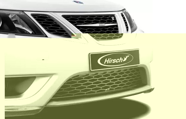 hirsch-performance-Honeycomb-Grille-624x400.jpg
