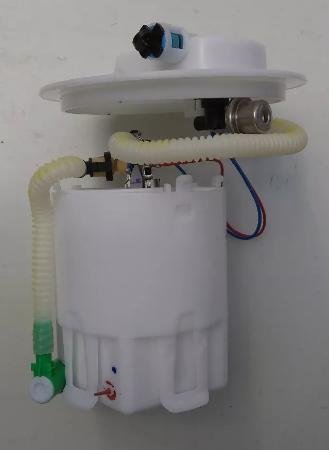P3.JPG