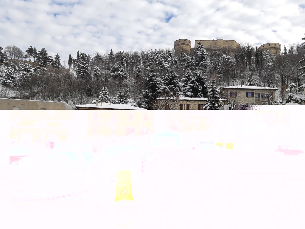 20181216_125116_resized_1.jpg