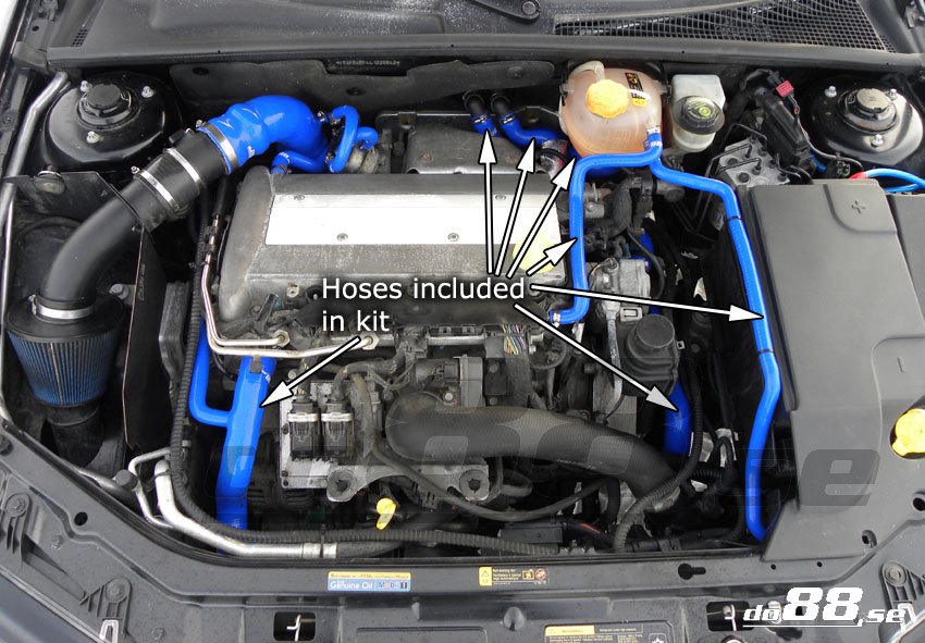 hoses.jpg