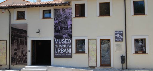 museo tartufo.jpg