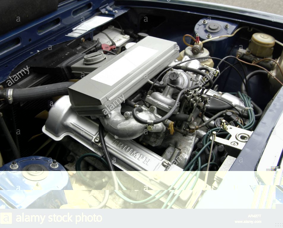 trionfo-stag-motore-v8-ar427t.jpg