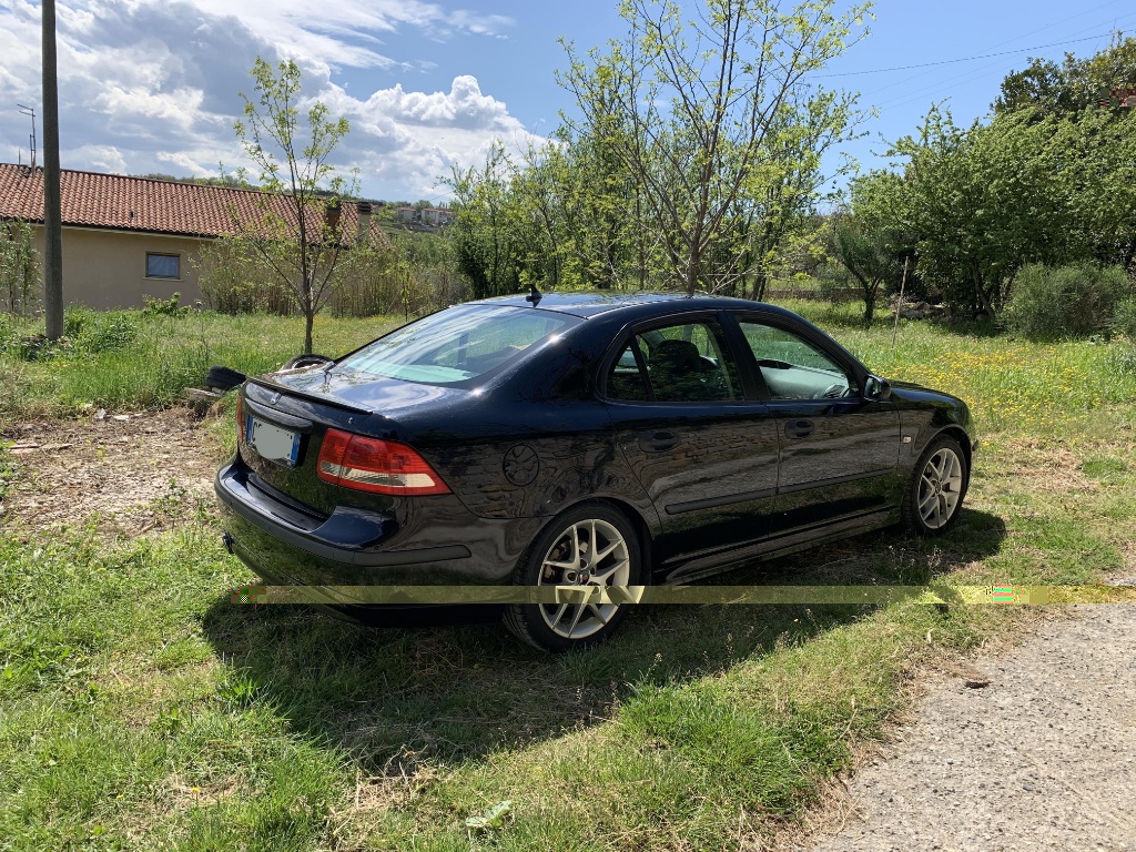 9-3NG Autoeconomo giardino.JPG
