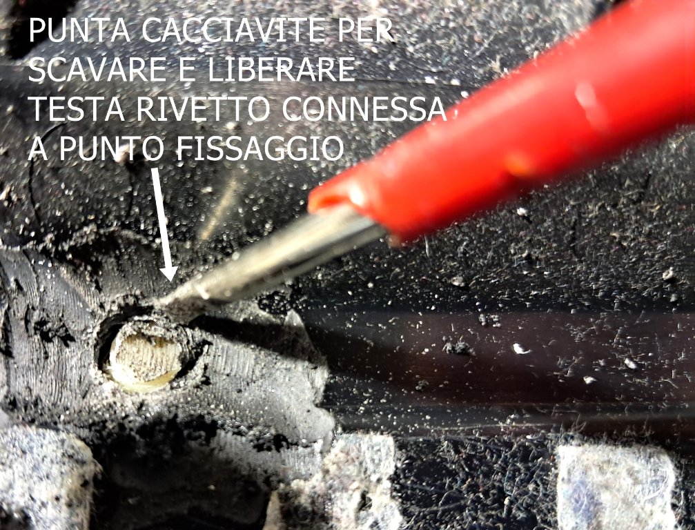 20241105_170620.jpg
