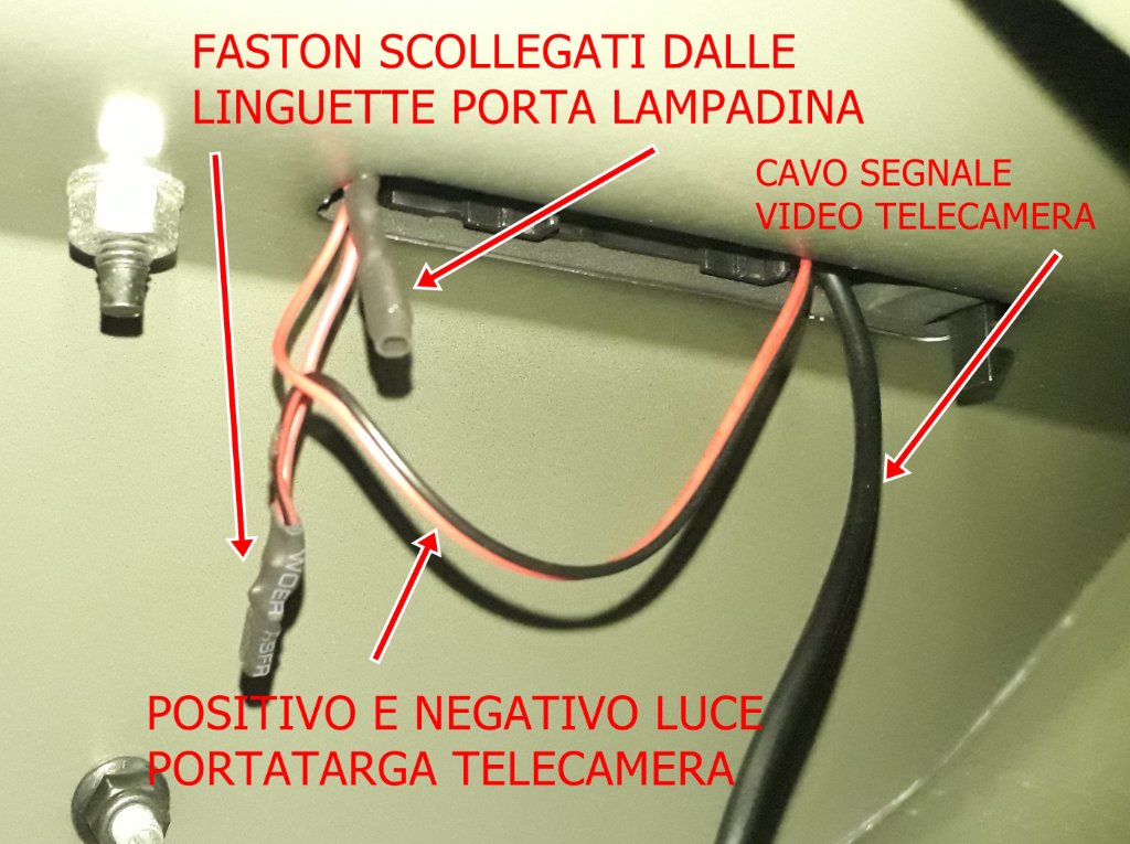 20240519_184329.jpg