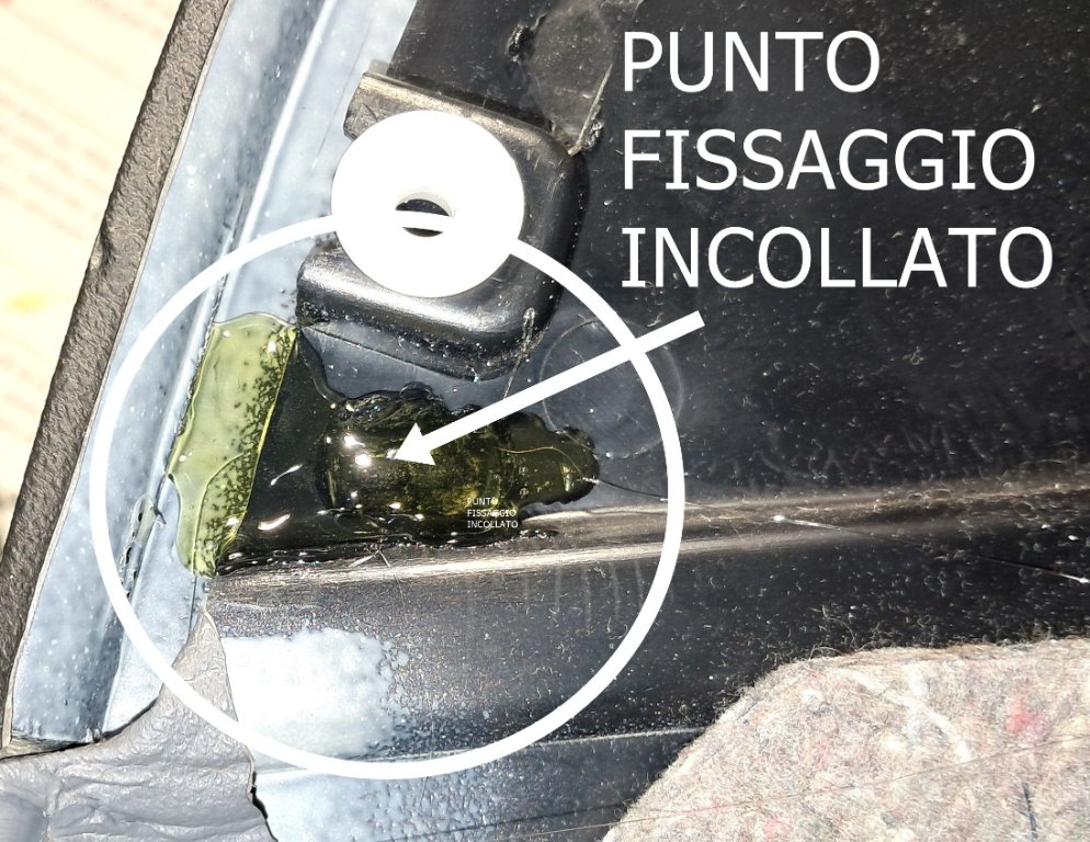 20241121_181350.jpg