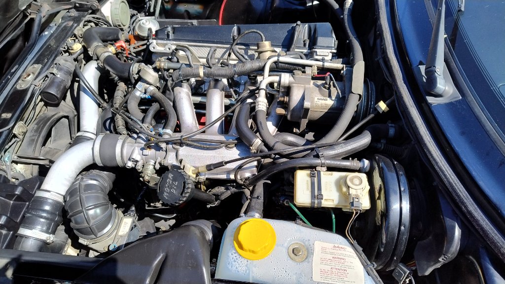 IMG-20260524-WA0025.jpeg