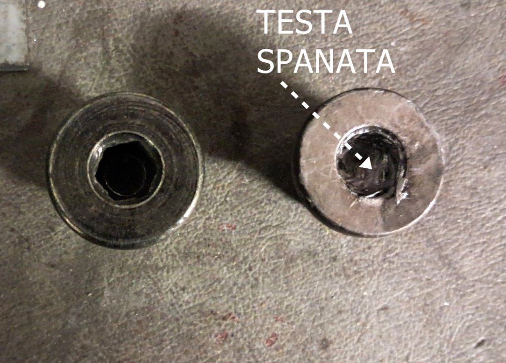 20260529_185301.jpg
