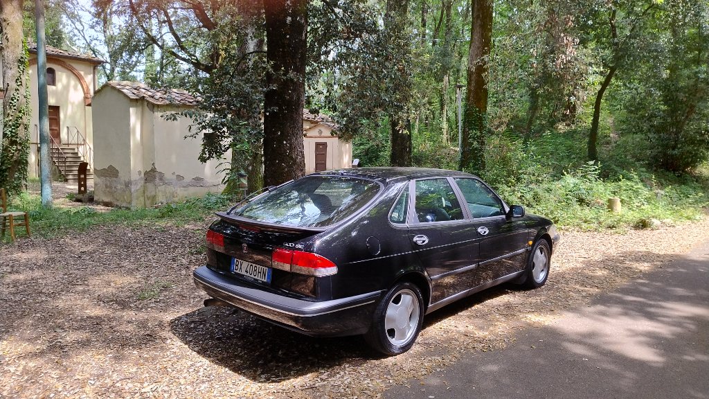 IMG_20260602_113441602_HDR.jpg