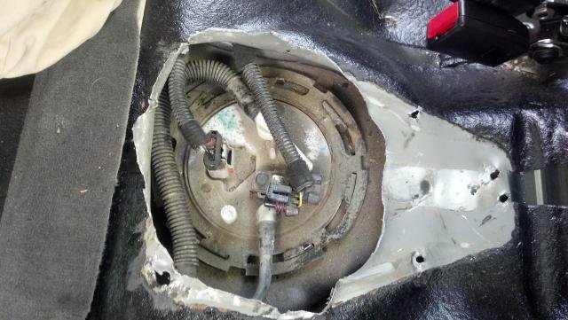 IMG_20130616_162126_573.jpg