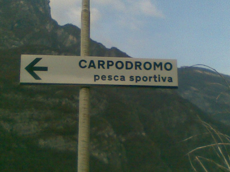 carpodromo.jpg