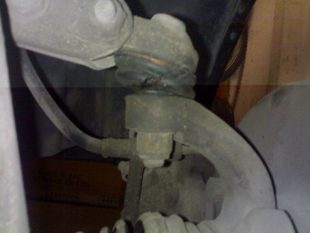 22112010231.jpg