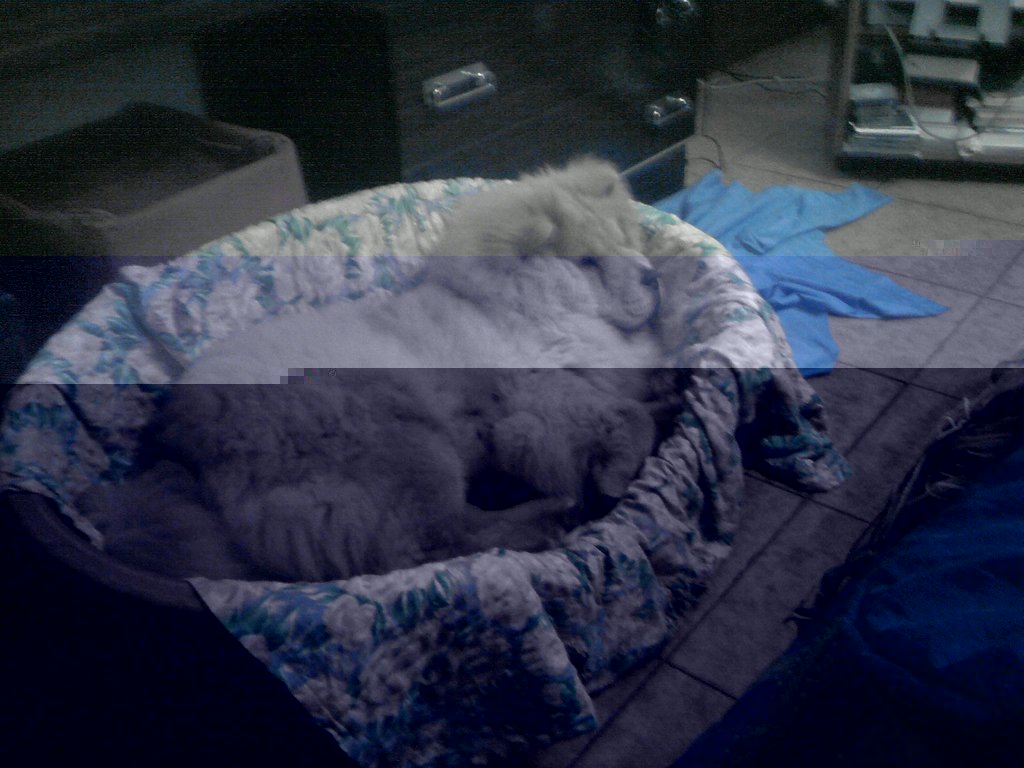 P050211_20.56.jpg