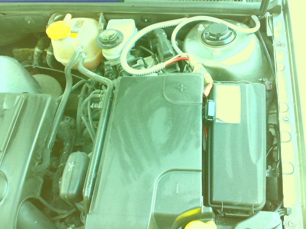 25082009029.jpg