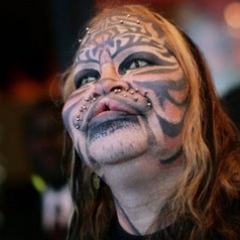gatto.jpg