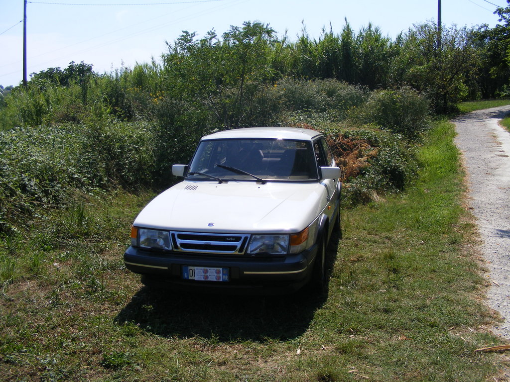 DSCF1349.JPG