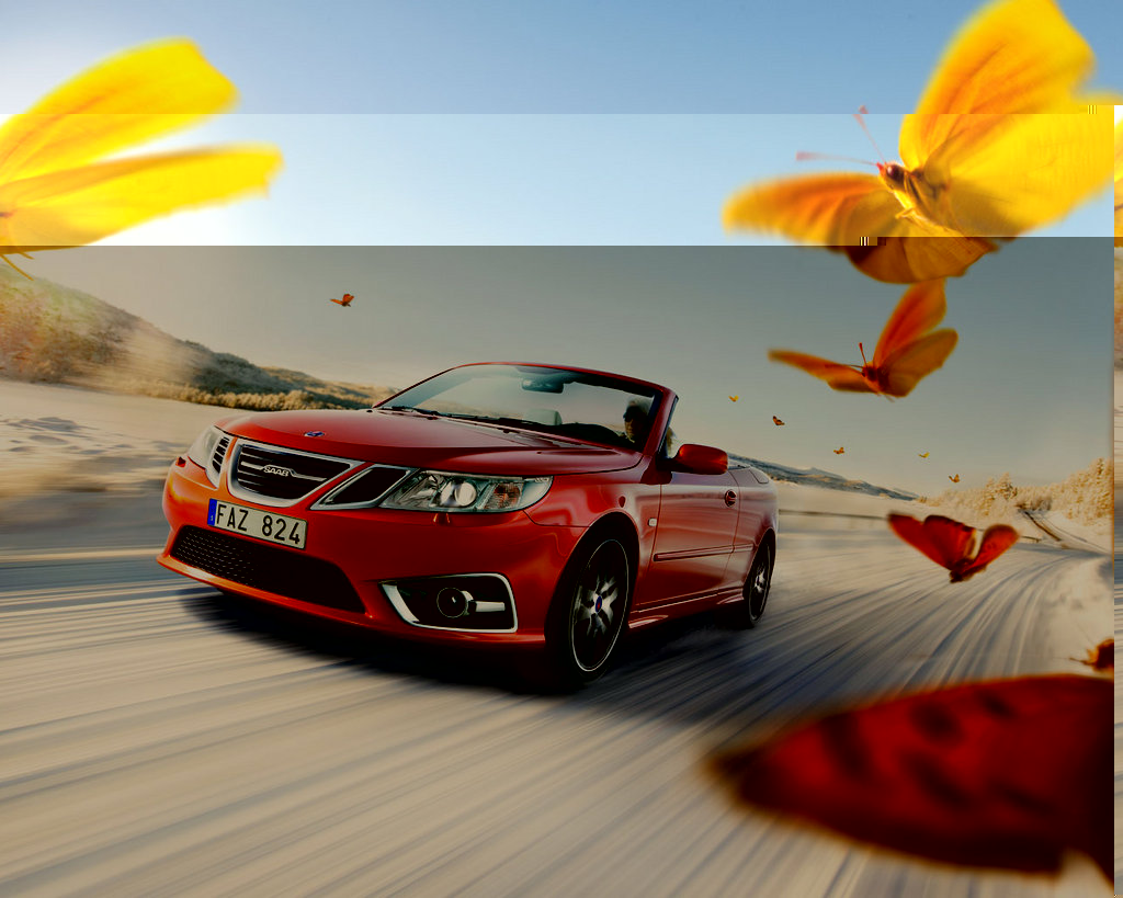 saab_93_independence_butterflies_1280x1024.jpg