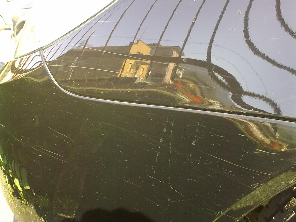 18032011355.jpg