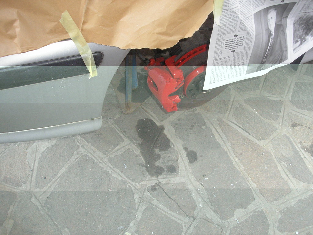 P1010058.JPG