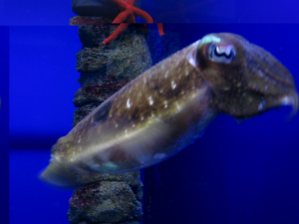 IMG_8546.JPG