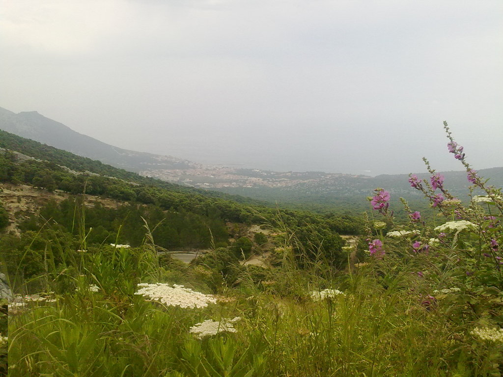 040620111082.jpg