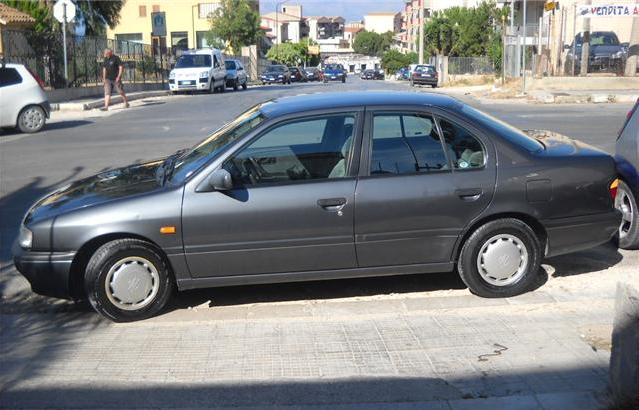Primera.JPG