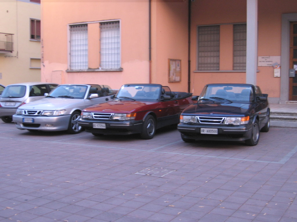 IMG_8767.JPG