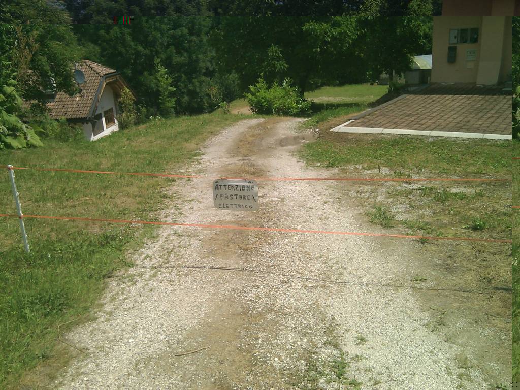 IMG_20110710_123547.jpg