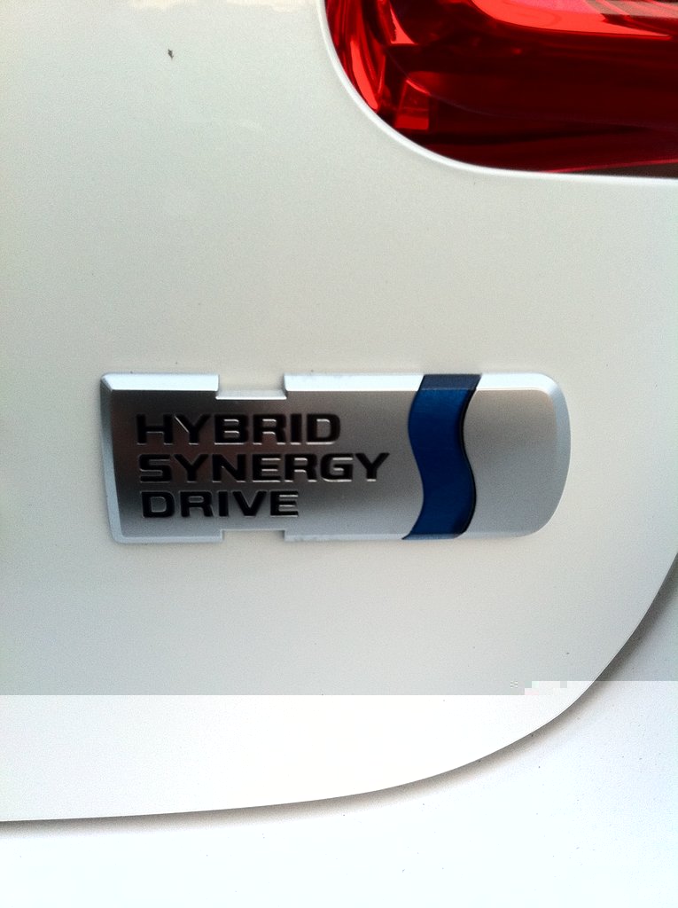 Auris4.JPG