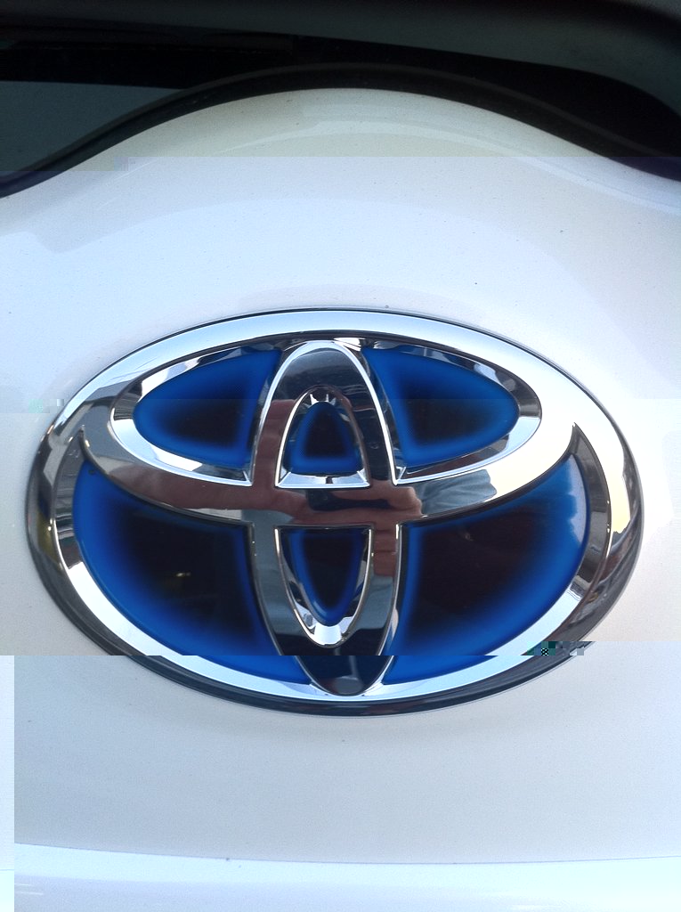 Auris3.JPG