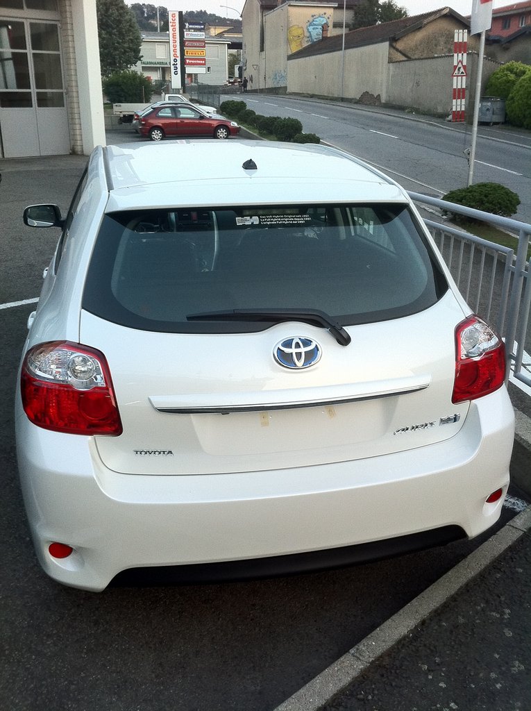 Auris2.JPG