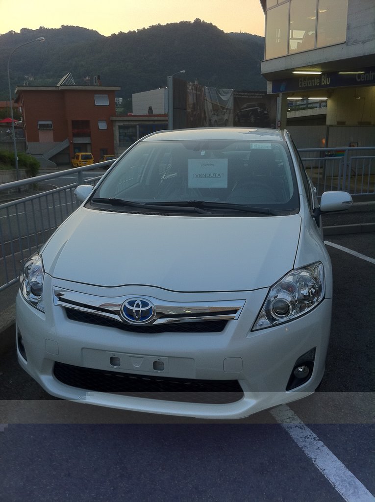 Auris1.JPG