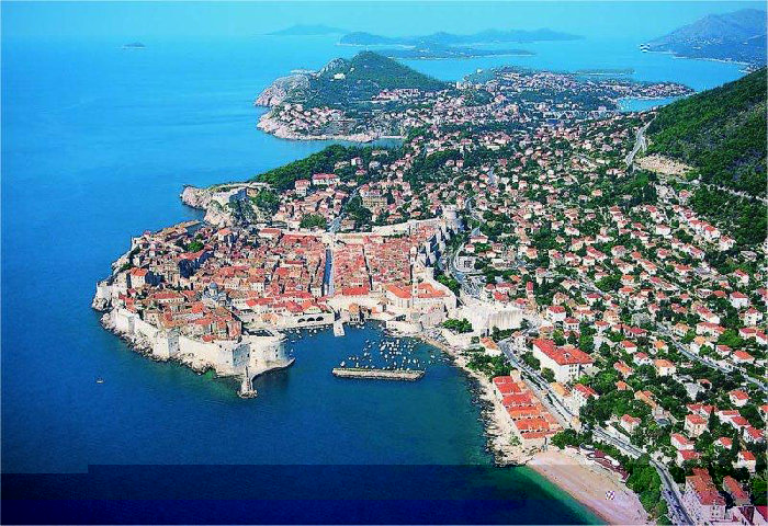 cinciallegra.jpg