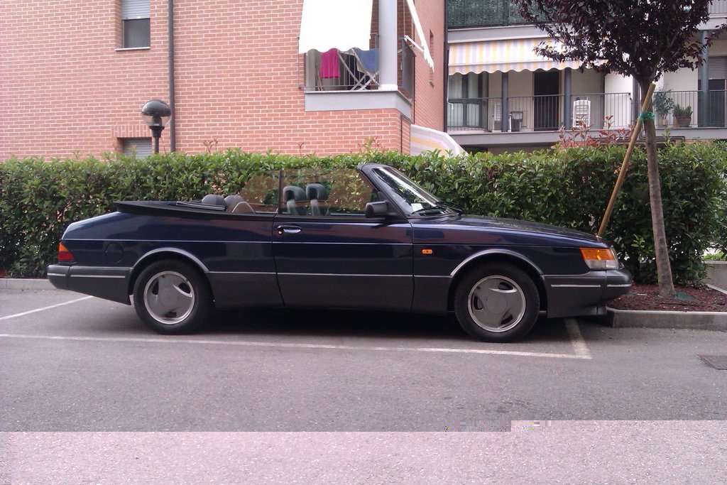 IMAG0031.jpg