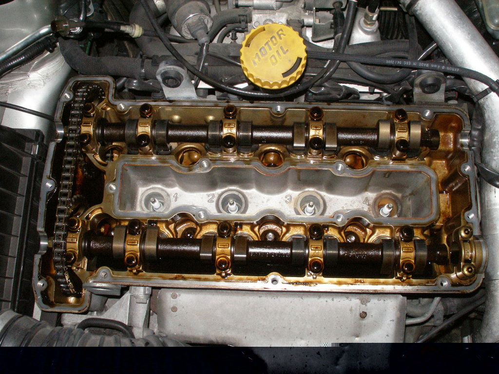 PB240001.JPG